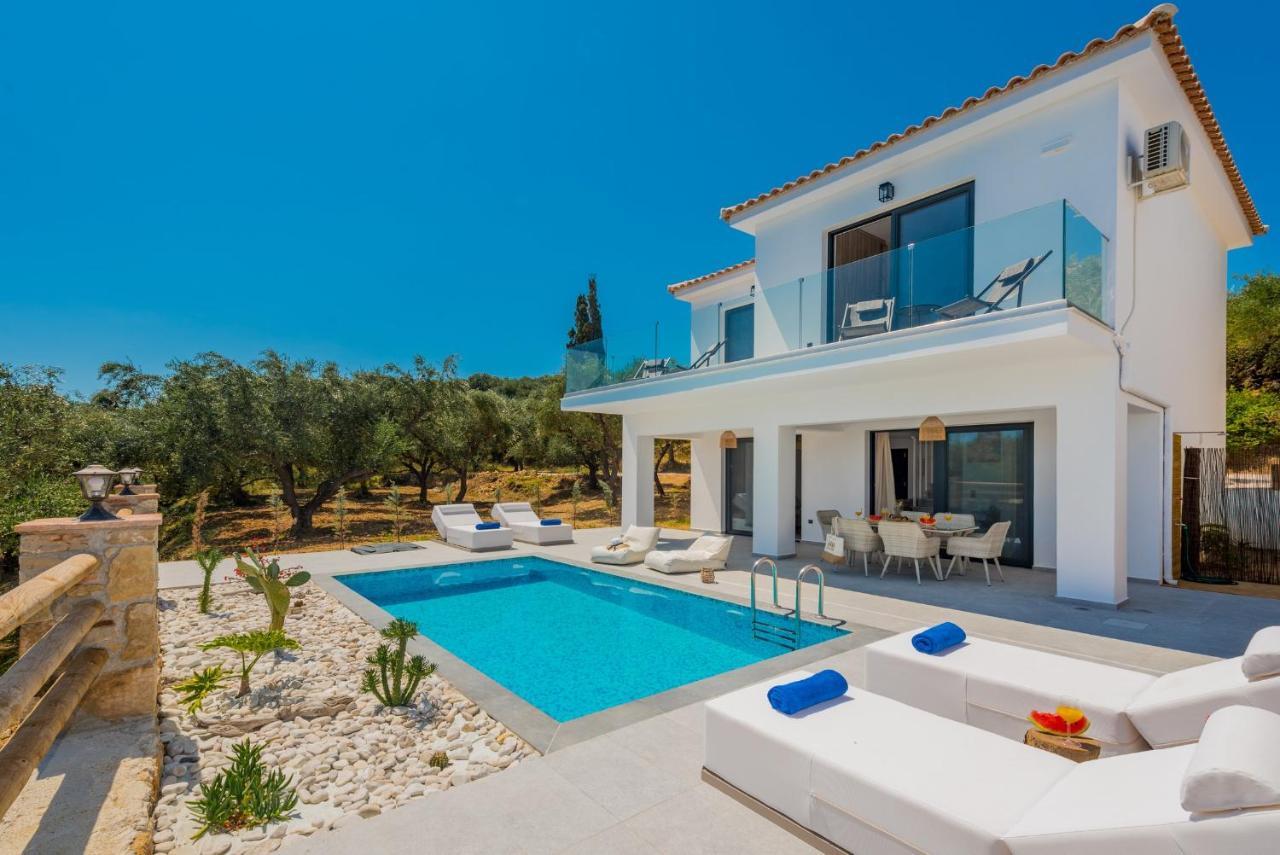 Queen Of Zakynthos Luxury Villas Amoudi Luaran gambar